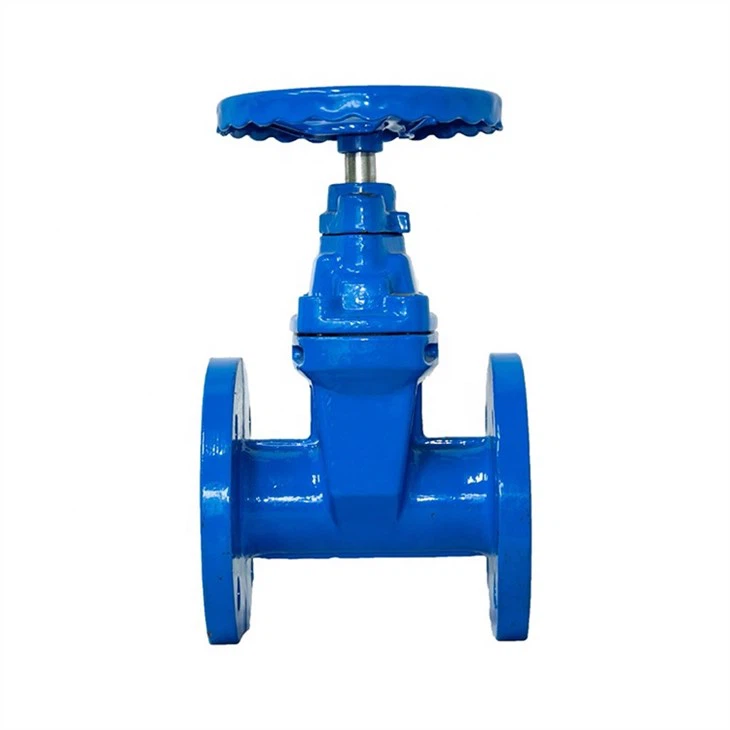 Cast Iron Gate Valve